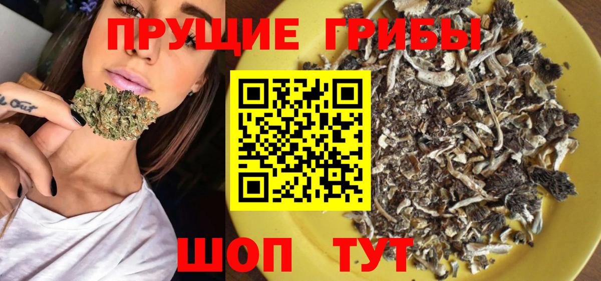 Галлюциногенные грибы MAGIC MUSHROOMS  Галлюциногенные грибы прущие грибы  Саяногорск  Вход с VPN 